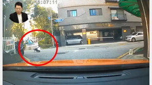 반려견 X 치우다 택시에 치인 여성…“치료비 많다고 소송 당했다”