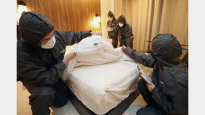 英부부 이집트 호텔서 사망, 옆방서 뿌린 빈대 살충제 때문이었다