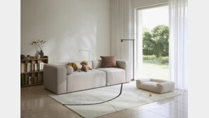 “댕댕이는 소중하니까”…굳게 닫힌 지갑도 펫가구 앞에선 ‘활짝’