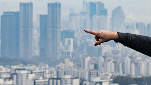 서울 빌라보다 신도시 새 아파트 택하는 젊은층 “생활의 질 높아”