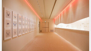 현대백화점, ‘프레드’ 특별전시… 미공개 아카이브 최초공개 