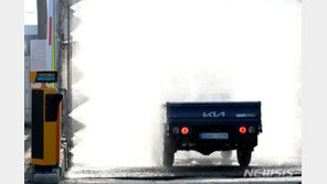 전남서 세번째 소 럼피스킨 의심축 발생…백신 접종 후 발병