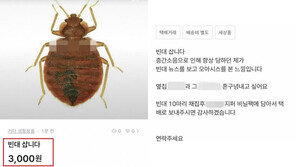 중고 거래에 “빈대 삽니다”…이유는 ‘층간소음 보복’