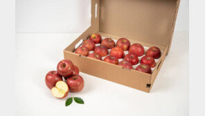 [스텝포넷제로] 대구경북능금농협, “사과 포장박스를 친환경 포장재로 바꾸고 있습니다”