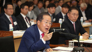 홍준표 “정치 기본도 모르는 이가 대통령 멘토 자처”…누구 겨냥?