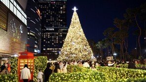 롯데월드타워 ‘크리스마스 정원’ 