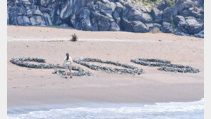 제주 해변에 돌무더기 방치 논란 드라마 제작진 사과