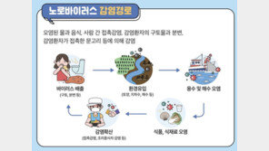 겨울철에 괜찮겠지?…‘이 식중독균’ 영하 20도에도 생존