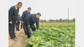시진핑, 대만 기업인에 “조국통일에 공헌해달라” 당부