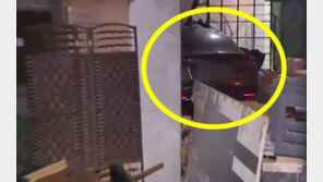 전기차 벽 뚫고 돌진…60대 대리기사 ‘급발진’ 주장