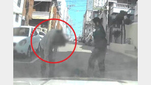 “내가 졌다, 졌어”…끈질긴 골목 추격에 포기한 절도범