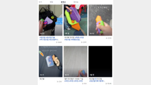 ‘찌르기 놀이’ 초교서 당근 칼 유행…일부 교육청은 금지령 내려