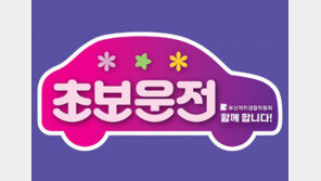 초보운전 스티커, 이런 건 어때요? 