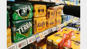 슈링크플레이션에 칼 빼든 정부…“가격 통제가 부작용 낳는다” 우려도