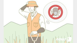 빈대 피해서 밖에 나왔더니 ‘쯔쯔가무시 벌레’ 극성