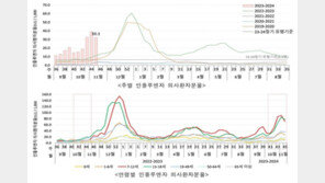 독감 대유행에 마이코플라스마 폐렴 환자도 2배 증가