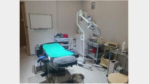 보험금 10억 챙긴 사무장병원장·무면허 성형 간호조무사 구속 기소