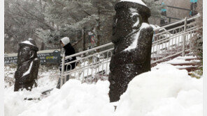 한라산에 30㎝ 넘는 눈…초속 30m 태풍급 강풍에 잇단 피해도