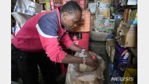 엘니뇨로 설탕 원료 수확 급감 설탕가격 급등 초래…개도국 등 세계 타격