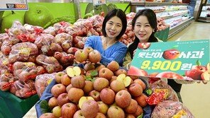 “맛은 그대로… 못난이 사과 30% 싸게 팔아요” 