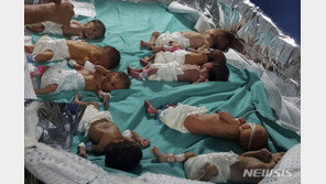 알시파 신생아 31명 옮겨져…이집트 라파로 갈듯