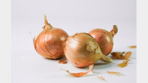 지게차서 1.4t 양파망 떨어져…70대 노동자 사망