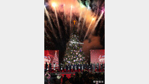 서울광장 성탄트리 점등 