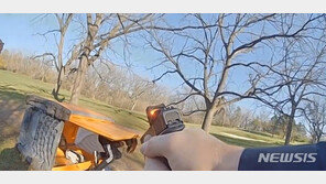 간이화장실에 숨었다가…똥통에 든 쥐 된 도둑