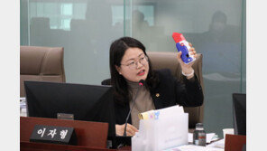 “당근칼이 뭐길래?” 경기교육청 행감에 등장…위험성 경고