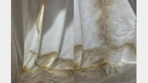 숙박업소 이불에 곰팡이 잔뜩…업주 “오리털 이불 특성, 세탁한 거다”