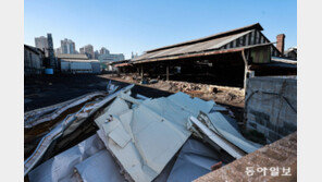 “中企는 대기업 따라 해외로 못 나가… ‘산업공동화’ 땐 막막” 