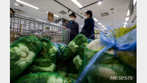 11월 김장비용 19만1030원…1년 전보다 11.7%↓