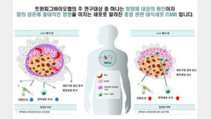 [스타트업-ing] 트윈피그바이오랩 "FDA 희귀의약품, 면역항암제 개발 박차"