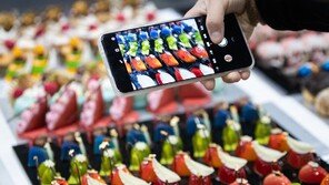 사진으로 남기는 디저트 