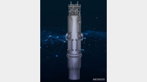 野 SMR 예산 전액 삭감에…당내 “사업 발목 잡지 말라”