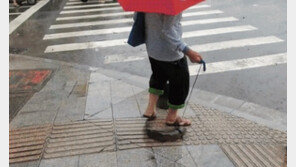 물고기에 강아지 목줄 매 빗속 산책 나온 중국 여성