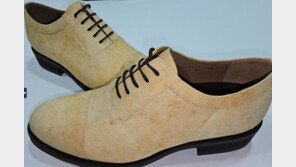 버섯 먹기만 한다고?…환경친화적 가죽으로 재탄생