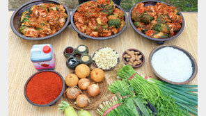 올해 김장비용 안정세 지속… 전년 중순 대비 11.7% ↓