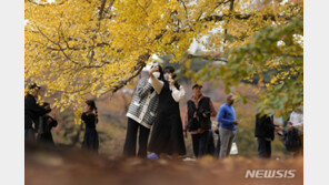 ‘난자 냉동하면 260만원 지원’ 설명회에 日 여성 5000명 몰려