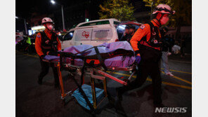 중환자 5명 발생 우려 시 ‘디맷’ 출동…제2의 ‘이태원 참사’ 막는다