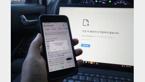 ‘먹통’ 모바일 신분증 서비스, 6시간 40분 만에 복구 