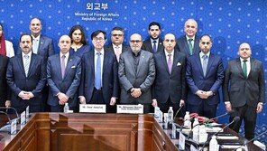 외교1차관 “‘이·팔 사태’ 조속한 안정 등 위한 국제사회 노력 동참”