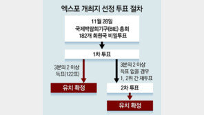 “1차 투표서 사우디 3분의 2 득표 저지 후… 伊로마 찍은 표 흡수해 결선서 역전 전략”