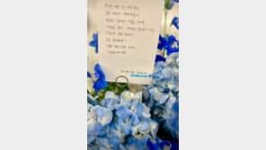 한지민, 청룡 떠나는 김혜수에 손편지 “사랑합니다”