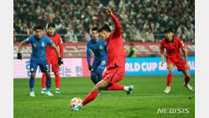 경찰, ‘불법촬영 혐의’ 황의조 추가 피해자 1명 조사