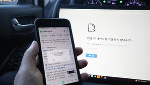 이번엔 ‘모바일 신분증’ 장애… 정부 전산망 1주새 네번째 먹통 