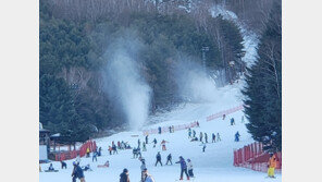 “11월의 겨울 실감나요”…개장 첫 주말 낮 용평스키장에 3200명 몰려