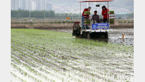 “외국산 쌀 국산 둔갑”…정부, 양곡 표시 단속 연말까지 연장