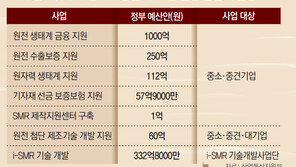 싹둑 잘린 원전예산 82%가 중소-중견기업 ‘생명줄’ 