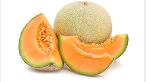 美서 멕시코산 멜론 먹고 2명 사망…식약처 “국내 수입된 적 없어”